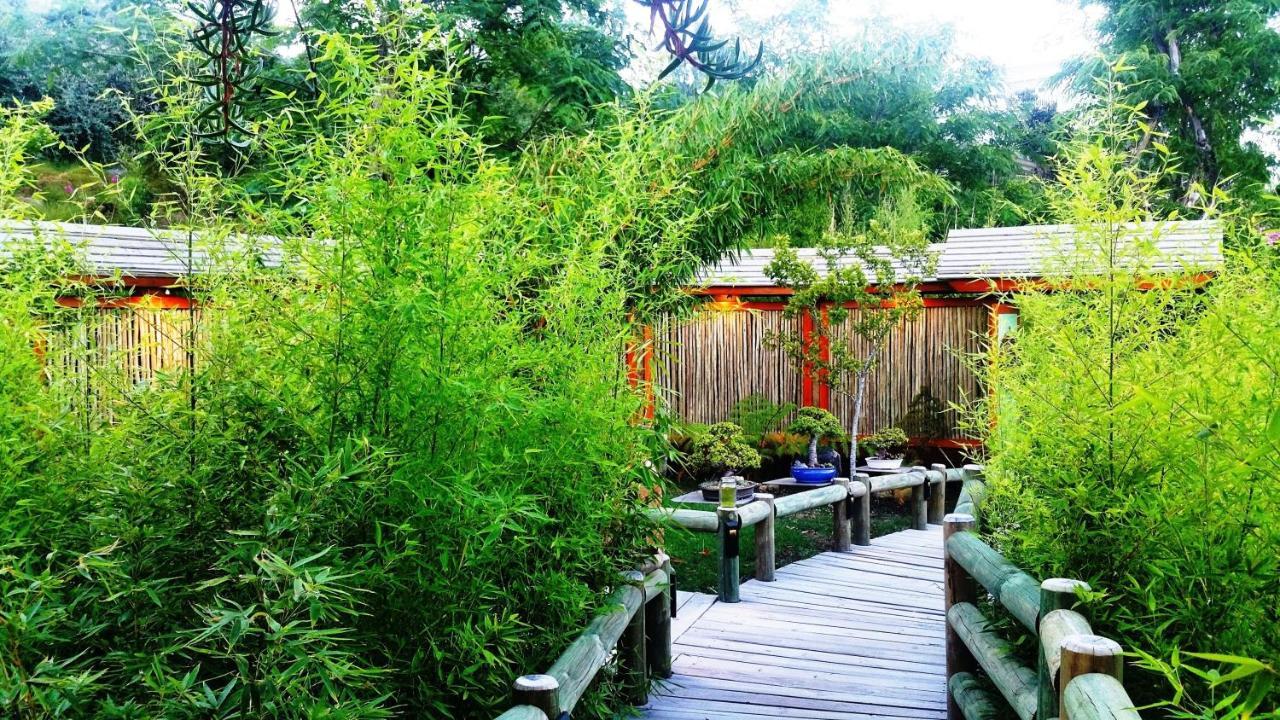 Paradise Private Zen Studios Knysna Esterno foto