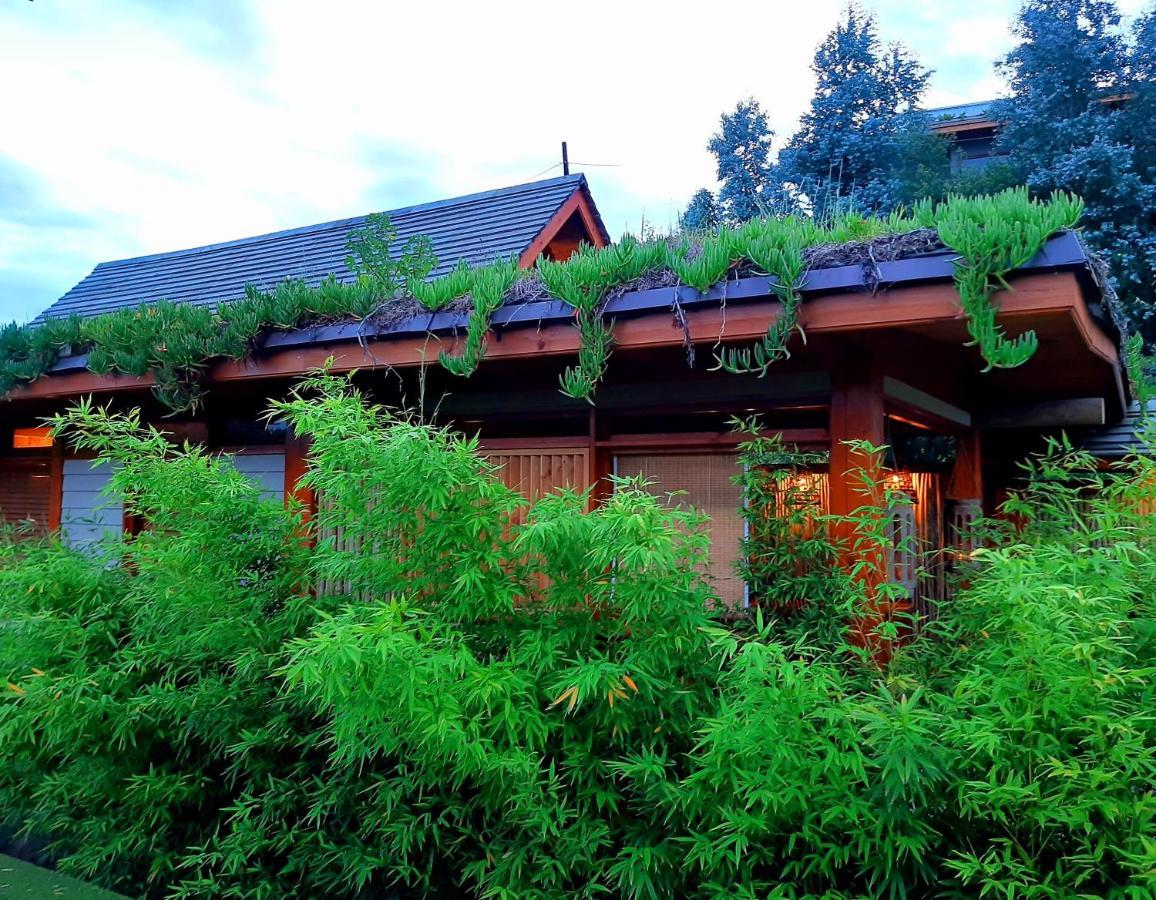 Paradise Private Zen Studios Knysna Esterno foto